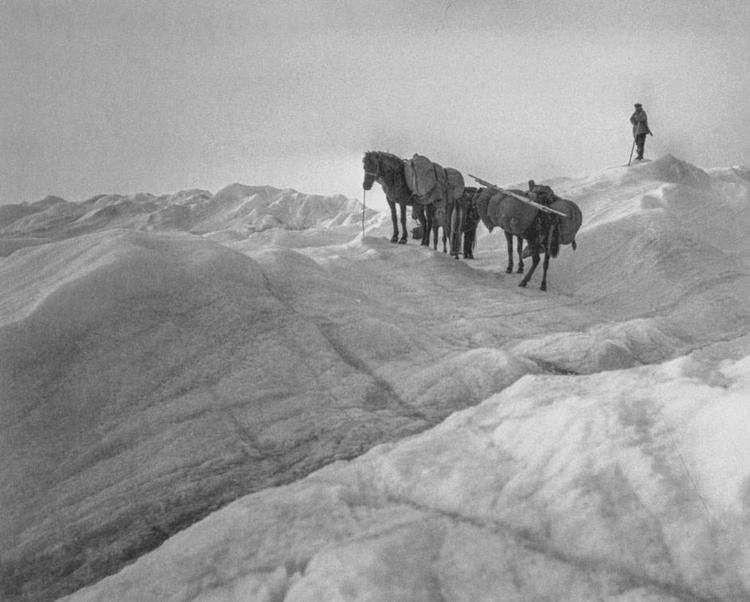 Udforskning. Den utrolige grøndlandsekspedition er endelig trukket frem af historiens glemmebog. 