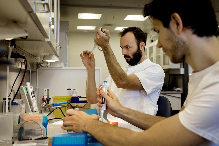 Hjemmebane. Markus Høybye Bosteen bliver færdig med sin ph.d. til sommer, og selvom han gerne vil arbejde i en privat virksomhed, bliver han i første omgang i det offentlige. »Universitetsmiljøet er der, hvor man er vokset op, og det betyder jo, at man er kendt af gruppeledere og institutledere. Derfor er der en fordel i at blive der«, siger han. 