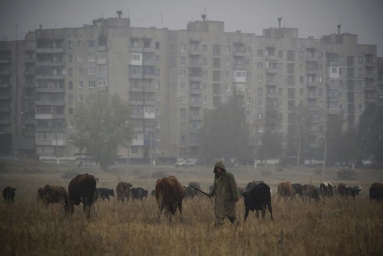 ramt. Krigshandlingerne i det østlige Ukraine er stilnet af, men kampene har tæret hårdt på landets økonomi, og derfor er vestlig hjælp fortsat påkrævet, siger landets udenrigsminister under et besøg i København. 