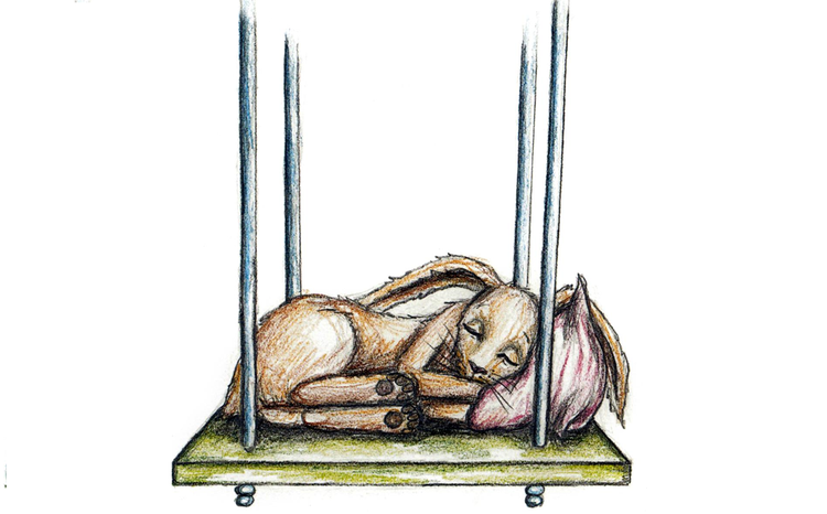 ZZZ. Så lykkedes det. Kaninen sover. Shhh. Tegning fra bogen: Irina Maununen 