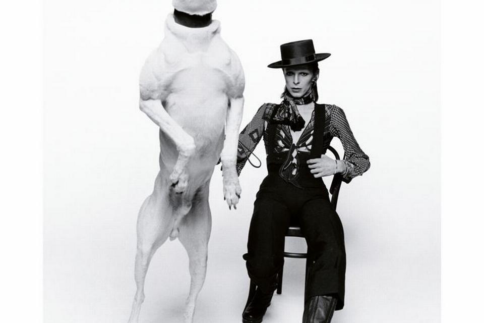 1974. Den britiske fotografs pr-foto af David Bowie i forbindelse med udgivelsen af 'Diamond Dogs'. 
