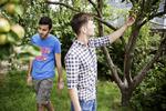 Langt de fleste flygtninge fra Syrien og Eritrea er mænd. Men kvinderne er i højeste kurs, når frivillige lægger billet ind på at hjælpe med husning og mentorordninger. (arkivfoto) 
