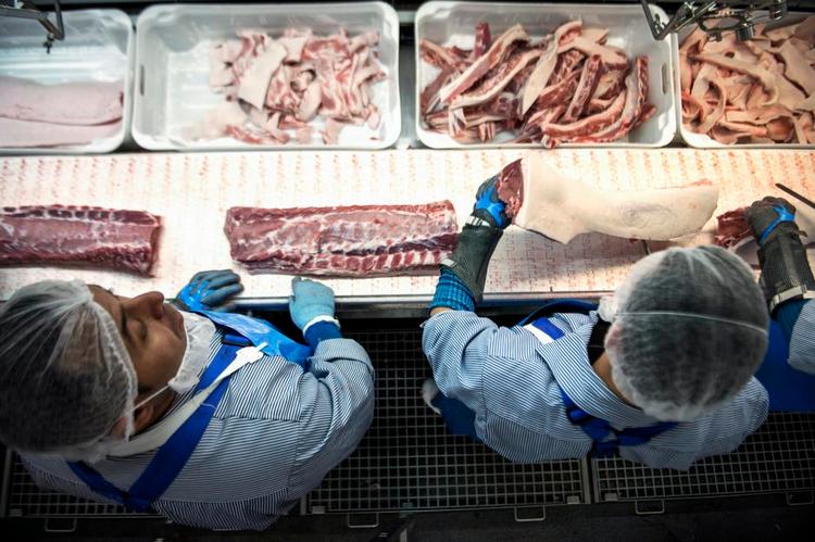 Job. Nidal Josef Ant og Ahmat Shawa fra Syrien har efter et praktikophold fået et almindeligt job hos Danish Crowns slagteri i Blans i Sønderjylland. Foto: Cicilie S. Andersen 