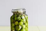 green-tomatos-IMG_0351
