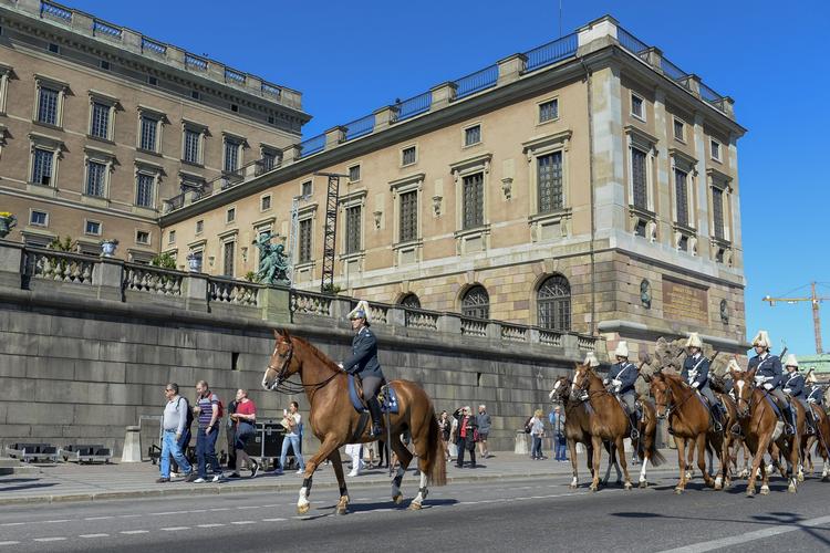 INDKVARTERING. Den svenske kongefamilier råder over en række statslige ejendomme, som den er rede til at lade indrette til flygtningeboliger. Det gælder dog ikke slottet i Stockholm. 