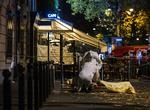 France Paris Shootings