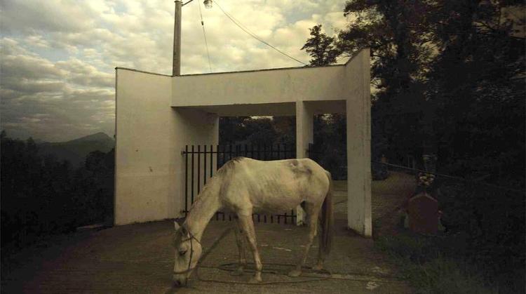 Et sted imellem. Som mulig vinder af hoved- konkurrencen ved CPH:DOX, understreger ’The Letters’, at der er medvind for dokumentarfilm, som blander fakta med fiktion. 