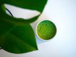 par-tea. Matcha Bar er en ny bar på Helgolandsgade, der kun serverer matcha-produkter. 