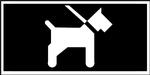 hunde-i-snor-450-x225-MP