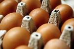 Buræg? Det kan være svært at se med det blotte øje, om der er tale om buræg. I Lidl er der ikke noget at være i tvivl om længere - discountkæden sælger ikke længere æg fra burhøns. 