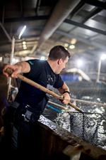 Udfordringer. Siden Thue Holm begyndte at uddanne sig som miljøbiolog fra RUC, har han fulgt de norske udfordringer med lakseopdræt tæt. Det fik ham til at overveje, om man kunne flytte opdrættet op på land. 