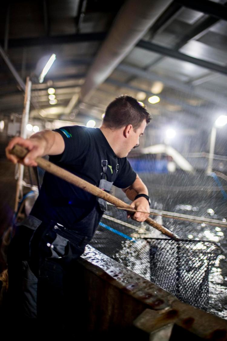 Udfordringer. Siden Thue Holm begyndte at uddanne sig som miljøbiolog fra RUC, har han fulgt de norske udfordringer med lakseopdræt tæt. Det fik ham til at overveje, om man kunne flytte opdrættet op på land. 