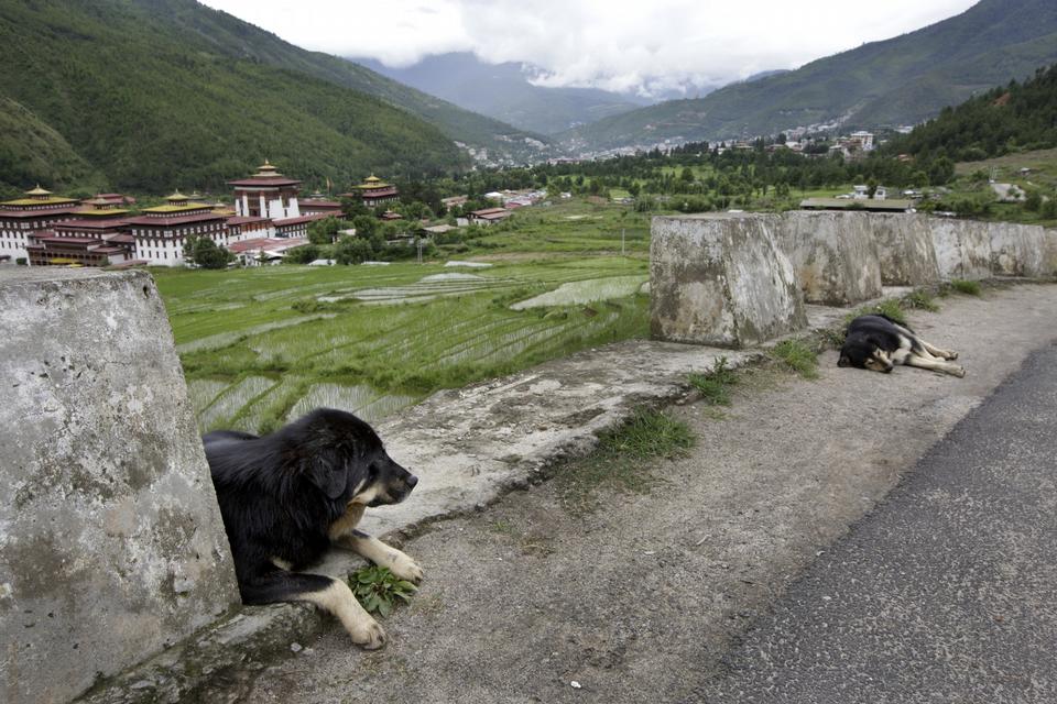 BHUTAN. Ligger isoleret i Himalaya, og udenlandske besøgende er et ekstremt sjældent syn. National Geographic anbefaler besøg i landets østlige del. 