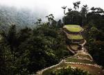 Turistmagnet. Narkokarteller brugte tidligere junglen omkring Ciudad Perdida til at dyrke kokain. I dag bevogtes området af regeringssoldater, og turister strømmer hertil fra hele verden for at se indianernes forsvundne by. 