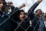 TUMULT. Pakistanere protesterer på grænsen mellem Grækenland og Makedonien over, at de ikke kan få lov at fortsætte deres rejse mod nord. 