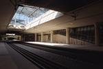 Stilhed. I det nye år vil Københavns Lufthavns Station summe af liv, når alle Øresundstogets passagerer skal igennem en paskontrol, før de kan køre videre mod Sverige. Foto: 