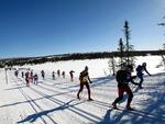 HØJSLETTEN. Nordmænd i migration over den højalpine slette - inden det går nedad mod Lillehammer igen. 