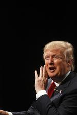 Retorik. Donald Trup satser på, at der er samme politiske bid i en antiislamisk retorik i USA, som valg efter valg har vist, at der er i Europa. 