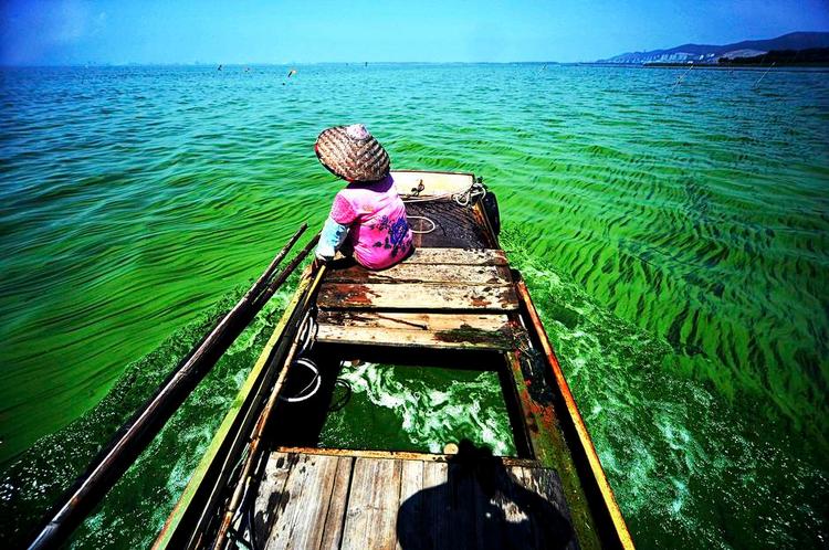 Potentiale. Det er meget synligt, når vandet får skarpe farver, og luften bliver grå. Og derfor har myndighederne i Kina sat ind på de områder, mens det stadig halter med at få renset jorden. Når det kommer i gang, kan danske eksperter dog få travlt med at hjælpe. 