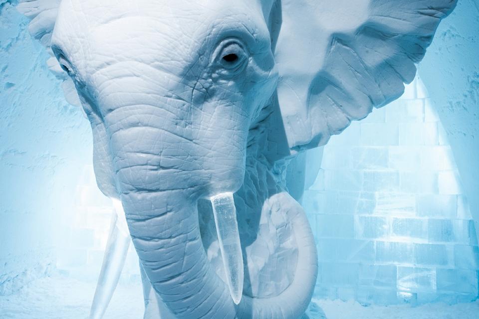 'Elephant in the Room', designet af AnnaSofia Mååg. 