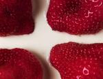 OPKLARING. Fødevaredetektiverne arbejder med sygdomsudbrud i mad og vand. Oftest er det salmonella, norovirus, colibakterier, campylobactor, shigella og listeria, de skal finde smittekilden til. 