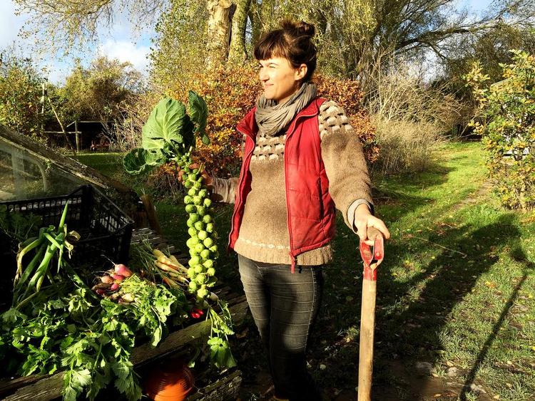 Lokalt. Christine Leth Møller producerer økologiske grøntsager, som detailhandlen gerne vil sælge, men indtil videre er hun ikke interesseret. 
