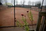 Tennis. Hvis du spiller tennis hos B93, er chancerne store for, at Henrik Vesterberg har set dig spille. 