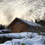 Bæredygtigt. Signe Wenneberg nyder fællesskabet og livet på landet i sit FSC-certificerede træhus. 