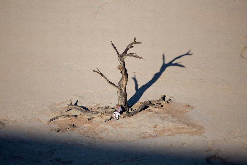 TØRT. Et forstenet akacietræ kaster sin skygge over en hvilende turist i Deadvlei. Stedet var tidligere en oase og bliver det stadig under regnfald. 