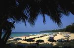 Naturperle. Surin Beach på Phuket skal føres tilbage til sit mere oprindelige udseende og rømmes for salgsboder og anden små-handel, mener de thailandske myndigheder. 