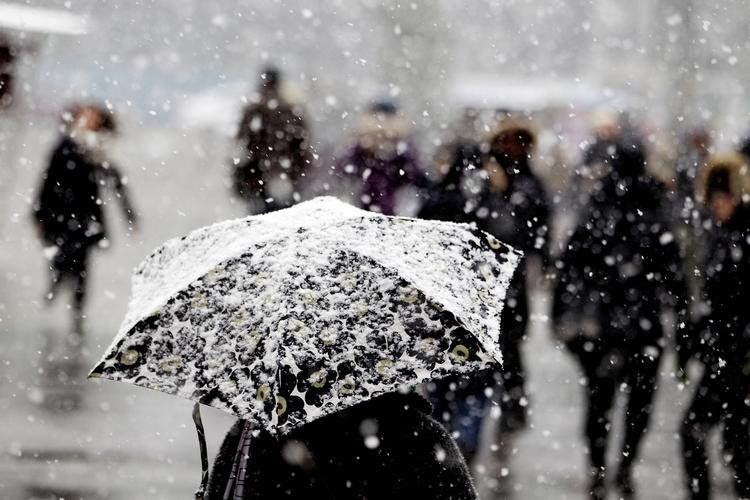 Vinter. Efter en jul med efterårsagtige temperaturer, kommer der i denne uge frostvejr. Arkivfoto. 