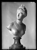 Hjemvendt. Efter 75 år i udlandet er busten af den romerske gudinde Diana vendt tilbage til Polen. 