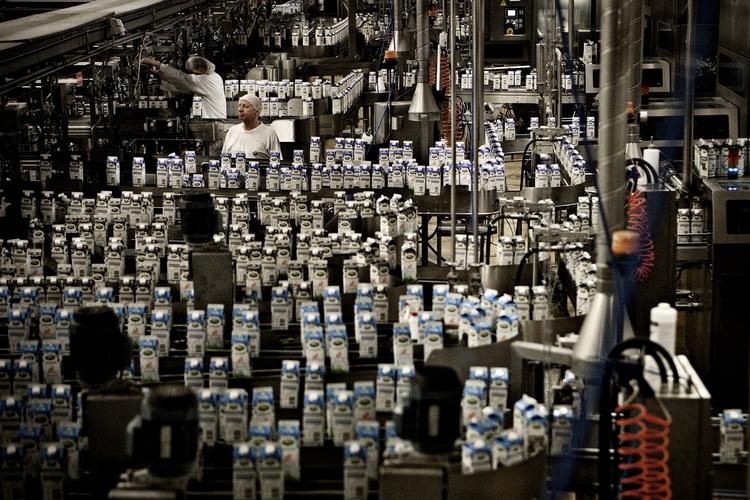 Ambitiøs. Arla producerer allerede 14 milliarder kilo mælk om året, men i 2020 forventes mejeriet at nå op på 16,5 milliarder kilo. 