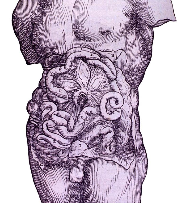 Illustration: U.S. National Library of Medicine 