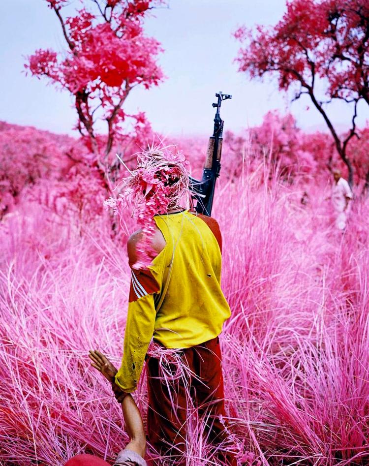 Lyserødt. Vi så ikke krigen, da billederne blev udstillet på Louisiana. Vi så pauserne. Richard Mosses fotografier fra det østlige Congo er taget med infrarød aerochromefilm. Smukt og sygt på en gang. 