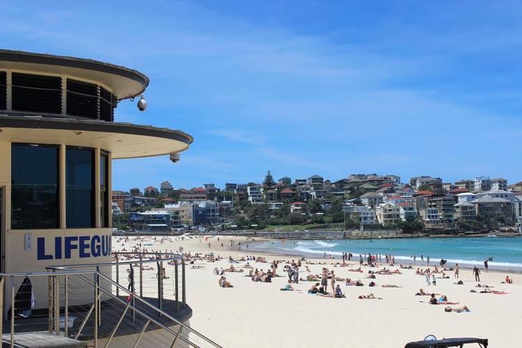 Bondi.JPG