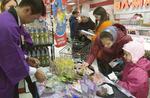 bakgear. Rusland er hårdt ramt af sanktioner og faldende oliepriser. Det russiske bruttonationalprodukt voksede kun 1,3 procent i 2013, 0,6 procent i 2014 og skrumper efter alt at dømme 3,8 procent i år. Foto: AP 