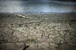 Tørke. Vejrfænomenet El Nino forårsager eller forstærker netop nu tørke i flere dele af verden. Ny forskning dokumenter, at tørke og ekstrem varme i stigende grad påvirker høstudbyttet i de ramte lande. 