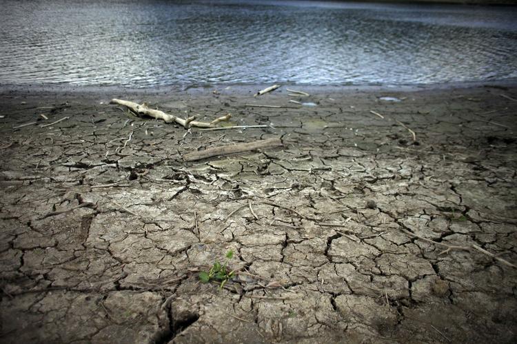 Tørke. Vejrfænomenet El Nino forårsager eller forstærker netop nu tørke i flere dele af verden. Ny forskning dokumenter, at tørke og ekstrem varme i stigende grad påvirker høstudbyttet i de ramte lande. 