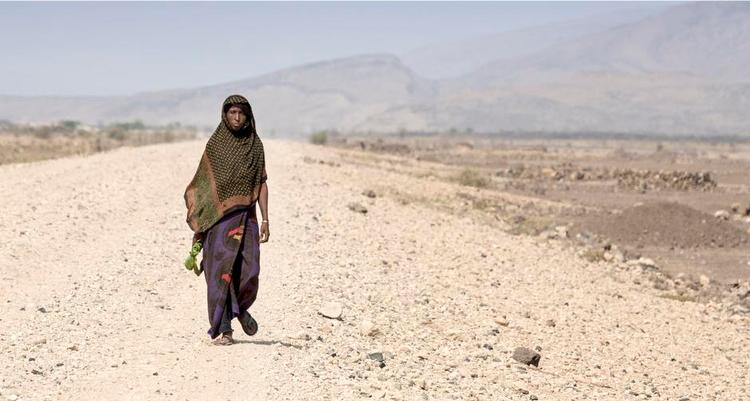 Tørke. Etiopien er igen ramt af alvorlig tørke. Men denne gang er landet bedre forberedt end i 1984. 