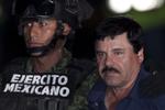 Fanget. Det bar angiveligt et møde med skuespilleren Sean Penn, som ledte myndighederne på sporet af den undslupne narkobaron Joaquin 'El Chapo' Guzman. 