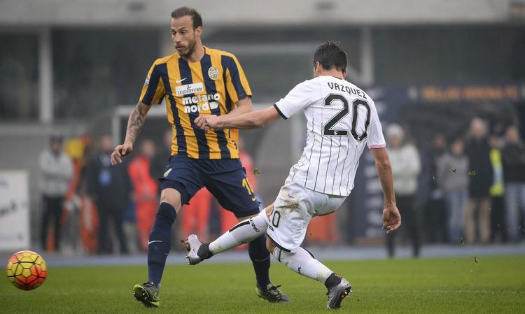 Trænerløs. Da Verona and Palermo i weekenden mødtes i Serie A, udeblev Palermos træner. 
