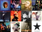 covers