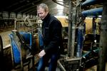 Omlægning. Den lave pris på almindelig mælk har fået Henrik Søgaard til at skifte til økologisk mælk. Det giver flere penge i kassen. 