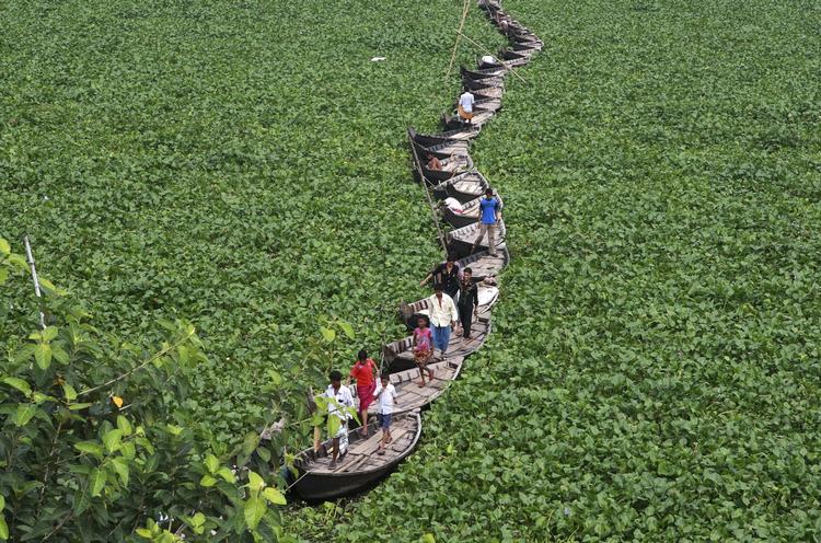 Bådebro. Når vandhyacintherne i Buriganga-floden ved Dhaka i Bangladesh blomstrer vildt, er det umuligt at sejle. I stedet har bådsmænd som her i 2010 lavet en primitiv bro ved at lægge deres både sammen. Bangladesh er et af de lande, der har store forventninger til den nye udviklingsbank for Asiens infrastruktur, AIIB, som Kina står i spidsen for. 