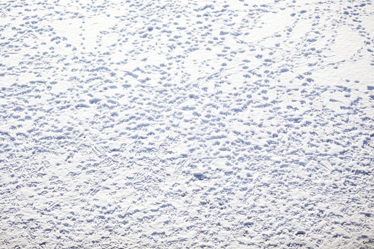 Afvent. Politiet opfordrer borgere til at vente med at gå ud på isen på søer, indtil kommunen har sagt god for, at det er sikkert. 