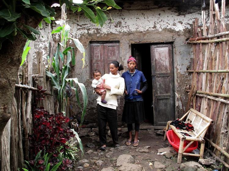 længsel. Amys mor og to søskende i Etiopien. Dem må hun ikke besøge, før hun er voksen. 