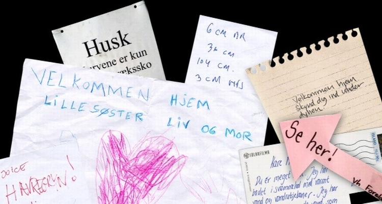 Dansk. Hverdagssproget skal under lup i nyt projekt. 