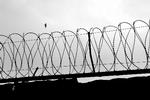 Kritik. Den danske praksis med at isolationsfængsle børn skal ophøre, understreger FN's torturkomité. 