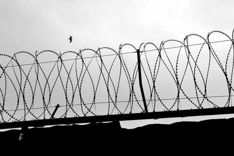 Kritik. Den danske praksis med at isolationsfængsle børn skal ophøre, understreger FN's torturkomité. 